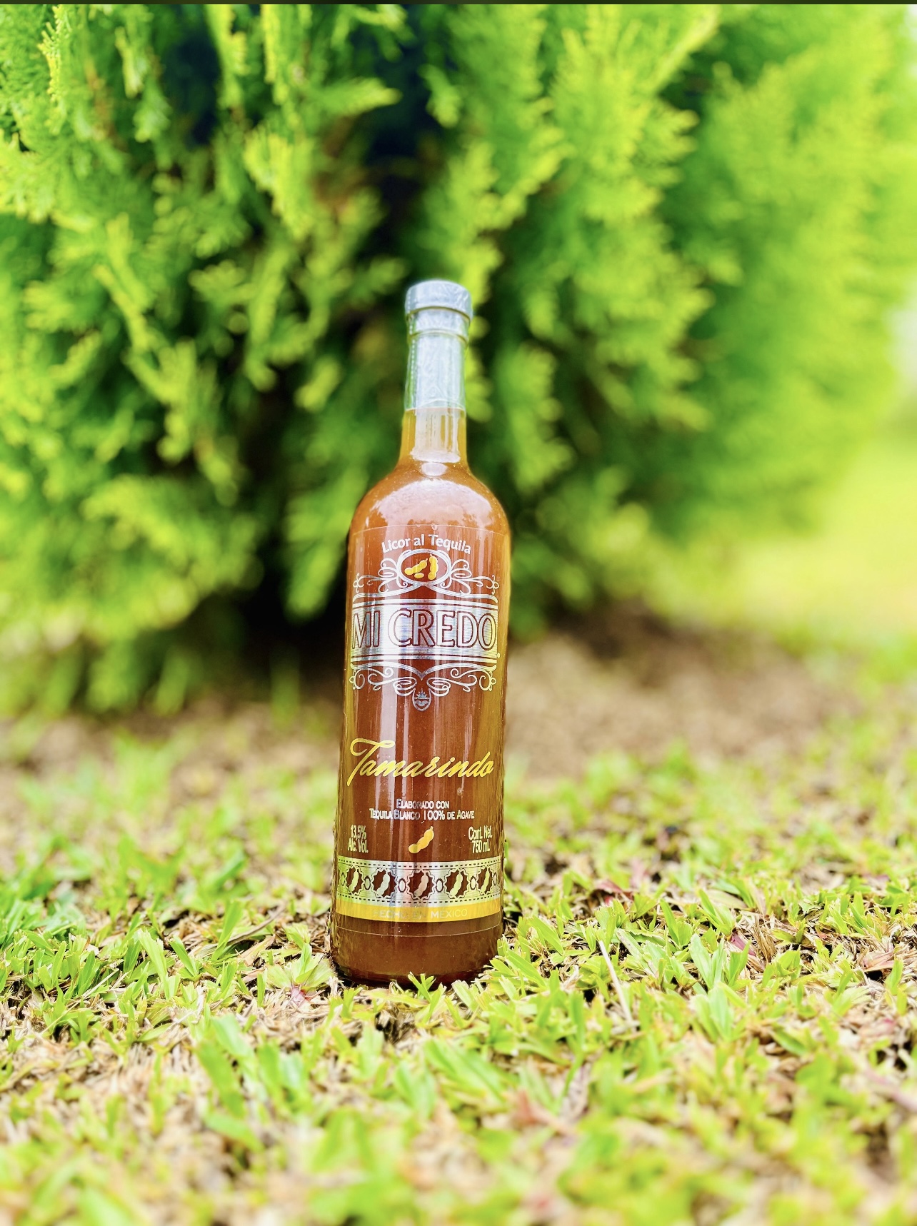 Tequila Mi Credo Tamarindo Con Chile 750 ML