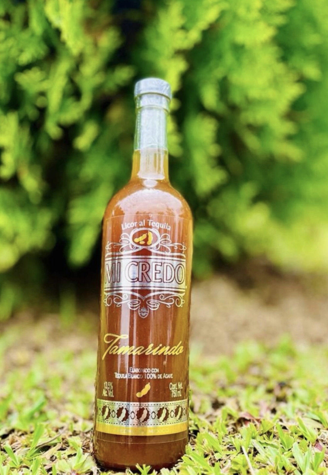 Tequila Mi Credo Tamarindo 750 ML